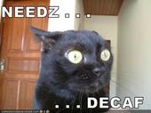 Lol cats tht need decaf