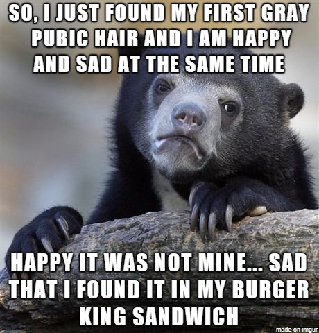 confession bear meme murder - So, I Just Found My First Gray Pubic Hair And I Am Happy And Sad At The Same Time Happy It Was Not Mine... Sad That I Found It In My Burger King Sandwich made on imgur
