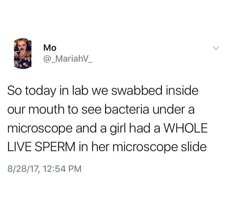 long can sperm survive - So today in lab we swabbed inside our mouth to see bacteria under a microscope and a girl had a Whole Live Sperm in her microscope slide 82817,
