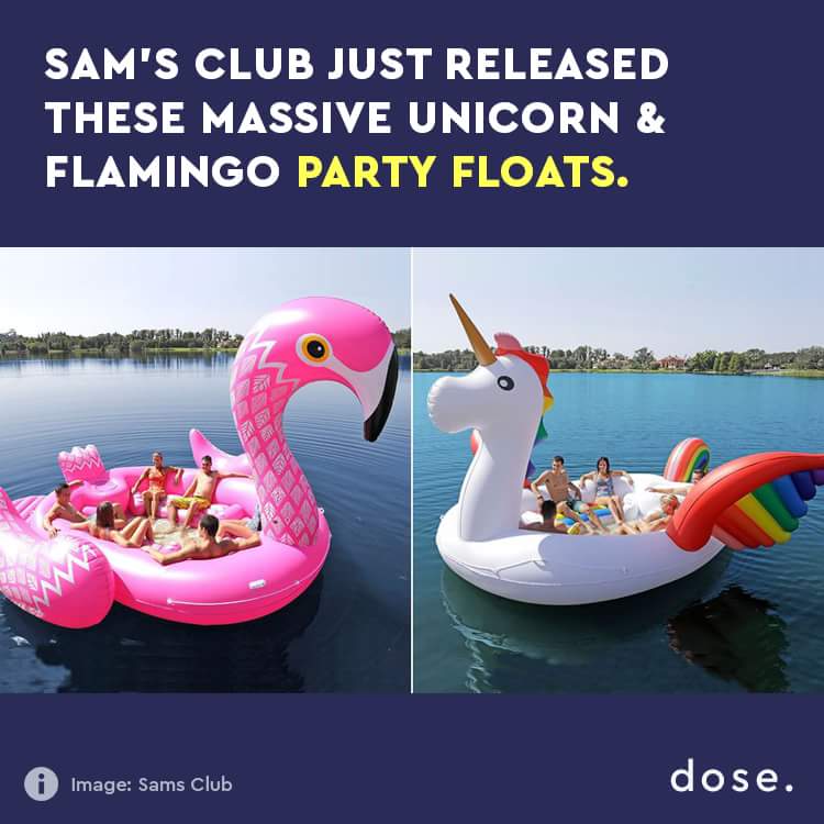 giant unicorn pool float - Sam'S Club Just Released These Massive Unicorn & Flamingo Party Floats. Image Sams Club dose.