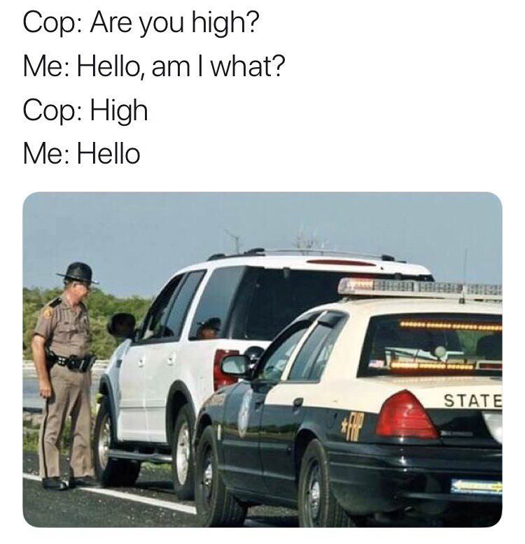 cop are you high meme - Cop Are you high? Me Hello, am I what? Cop High Me Hello State