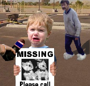 toddler - Missing Pleasa call