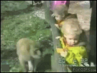 kids vs animals gifs - For GIFs.com