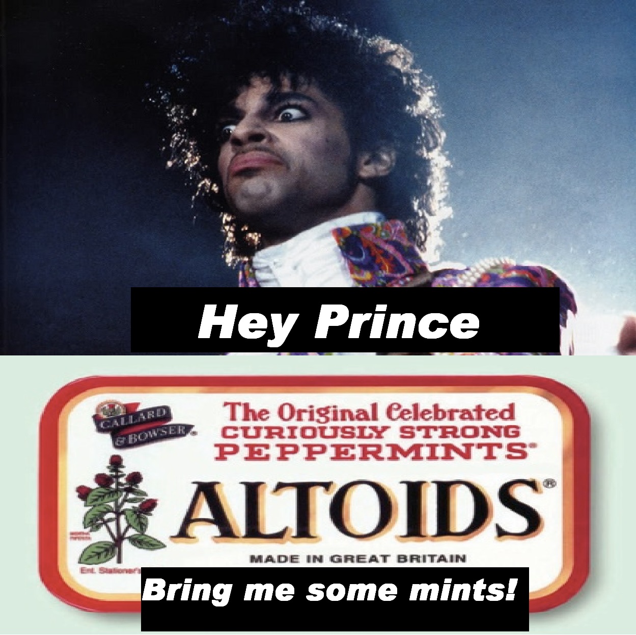 Prince gets Mints