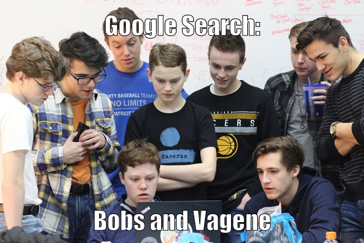 Bobs and Vagene