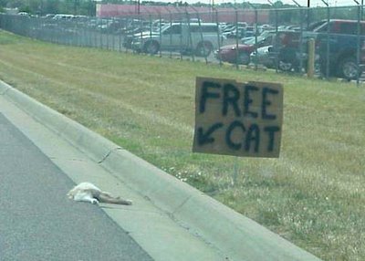 Free cat to good home. She is very lazy she seem to sleep 24/7
