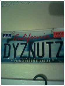 Dyzznutz in your Face!!