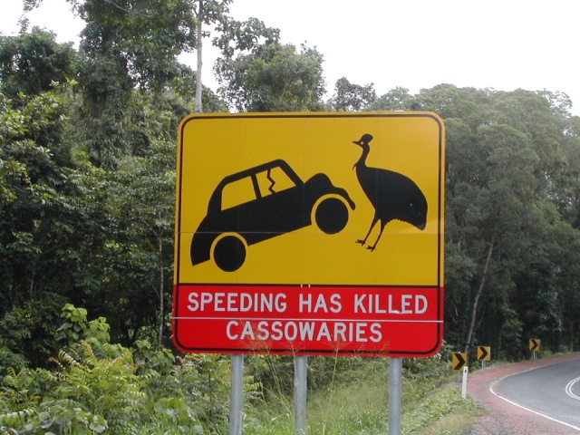 Funny traffic signs