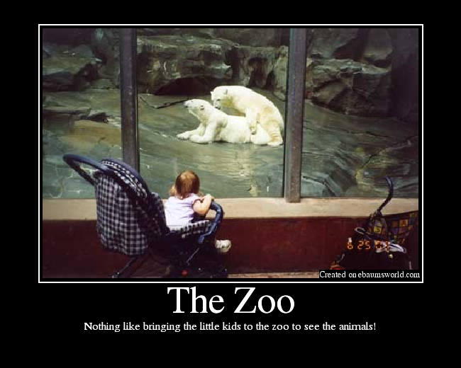 Nothing like bringing the little kids to the zoo to see the animals!