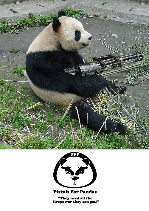 because pandas need all the protection they can get!