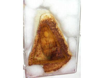 virgin mary on a grilled cheese sandwich