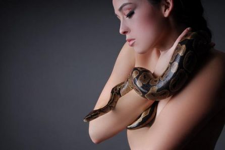 Sexy Snakes?