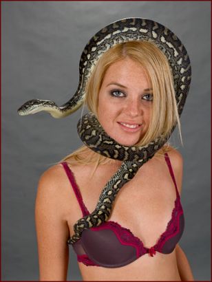 Sexy Snakes?