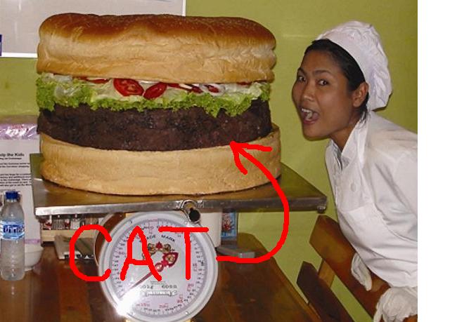 Pretty sure its a big burger made of cat meat.