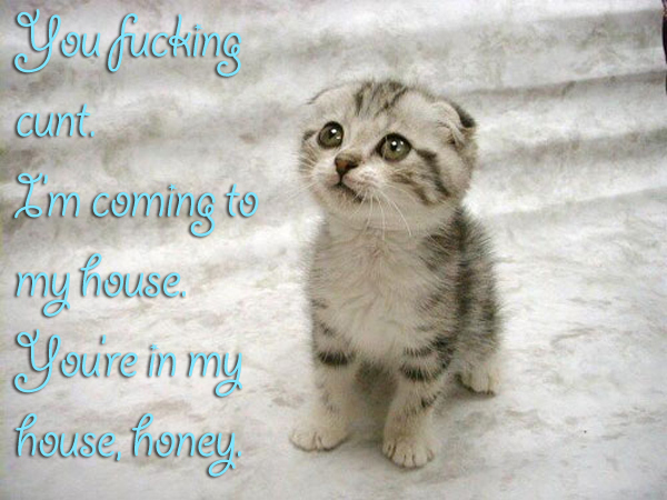 melt gibson cats - missing you cat meme - You fucking cunt Lim coming to my house. Youre in my house, honey