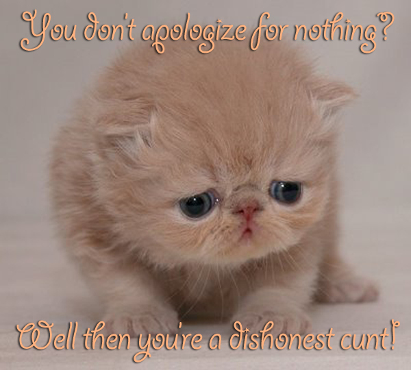 melt gibson cats - sad kitten - You don't apologize for nothing? Well then you're a dishonest cunt!