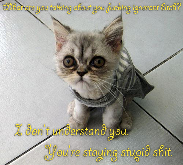 melt gibson cats - mel gibson rant kittens - What are you talking about you fucking ignorant bitch? 2 Son't understand you You're staying stupid shit.