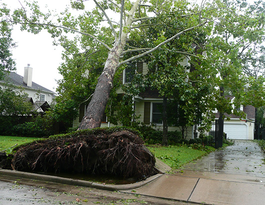 Hurricane Ike Devastation