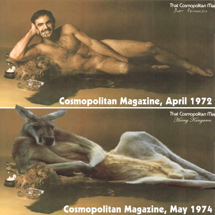 They could have at least used a different rug in the Cosmo photo shoot.