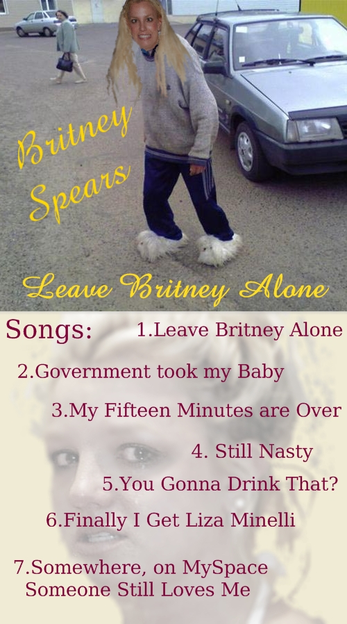 Insert from Britney's new album