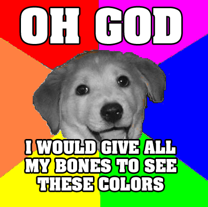 Cute Color Dog