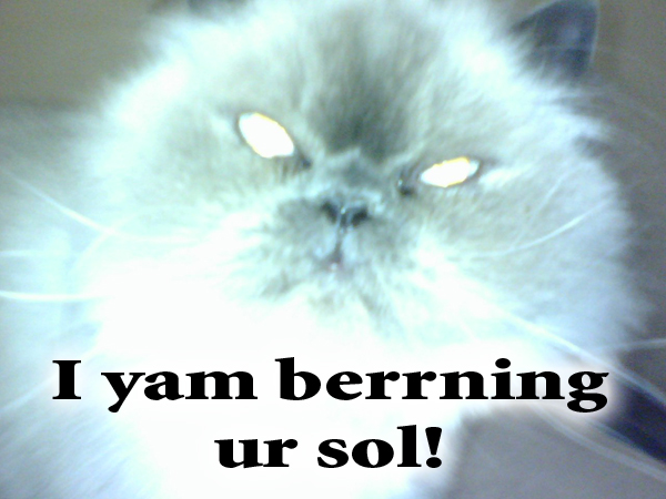 Cat burning your soul