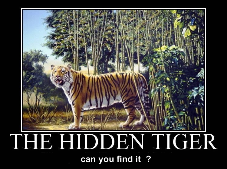 CAN YOU FIND IT ?