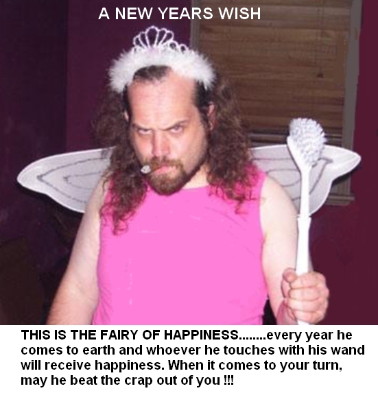 THE HAPPINESS FAIRY