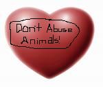 abused animals