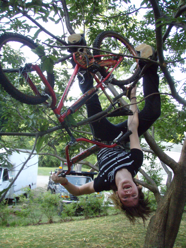 The amazing TREE BIKE of summer. Thrown off of a garage into a tree.