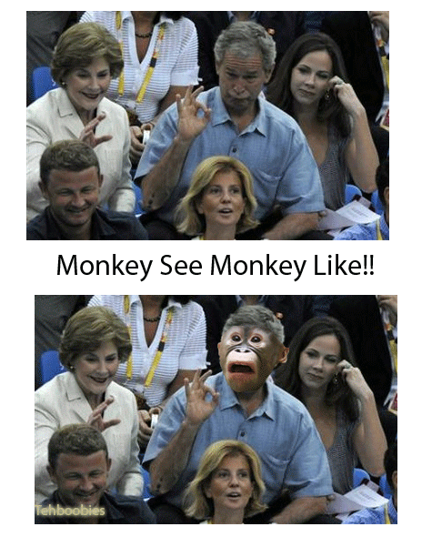 Bush Monkey loves the olympics!! 