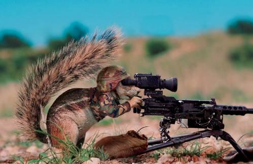 Iraqi soldiers have found new weapons of mass destruction...squirrels
