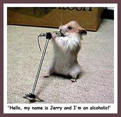 this hamster has a problem and relieves it at his weekly alchoholic sessions
