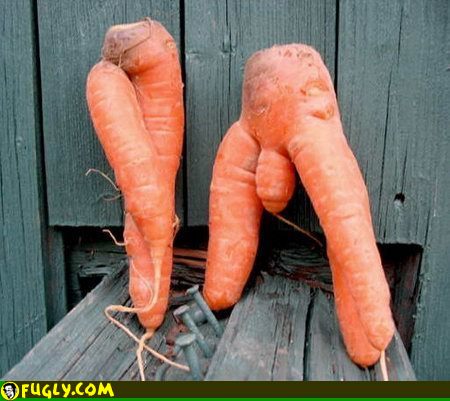 sexy carrots