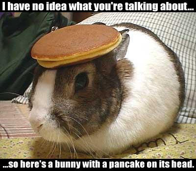 so heres a bunny with a pancake