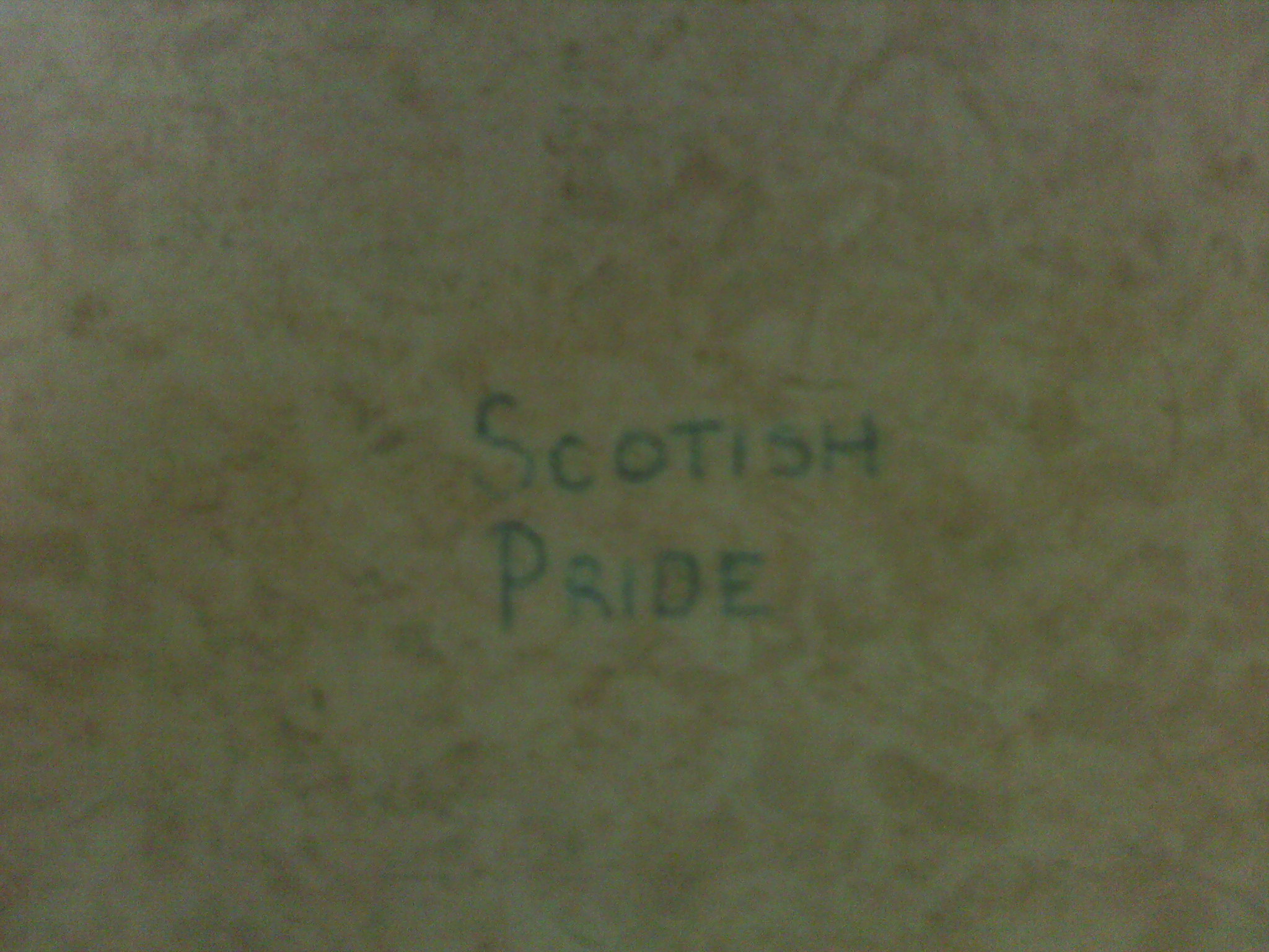 On the bathroom stall at my work. In all fairness, he must have been drunk, which would make the Scots pretty proud just for that.