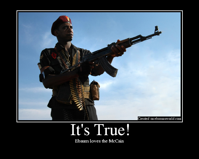 Ebaum loves the McCain