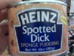 sponge pudding