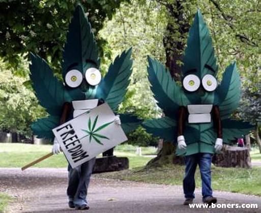 These guys really want weed to be legal