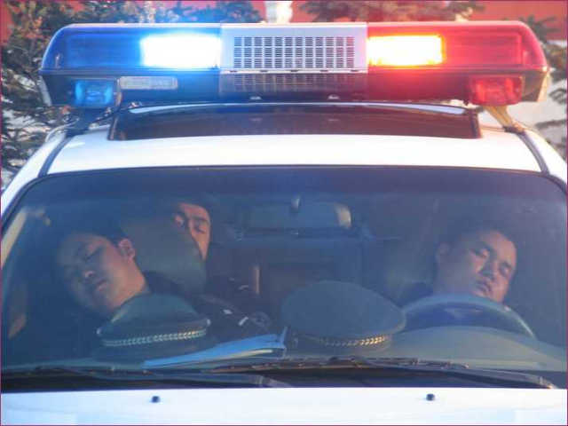 After a long day of doing fine police work, these fine young police men needed some well deserved rest.