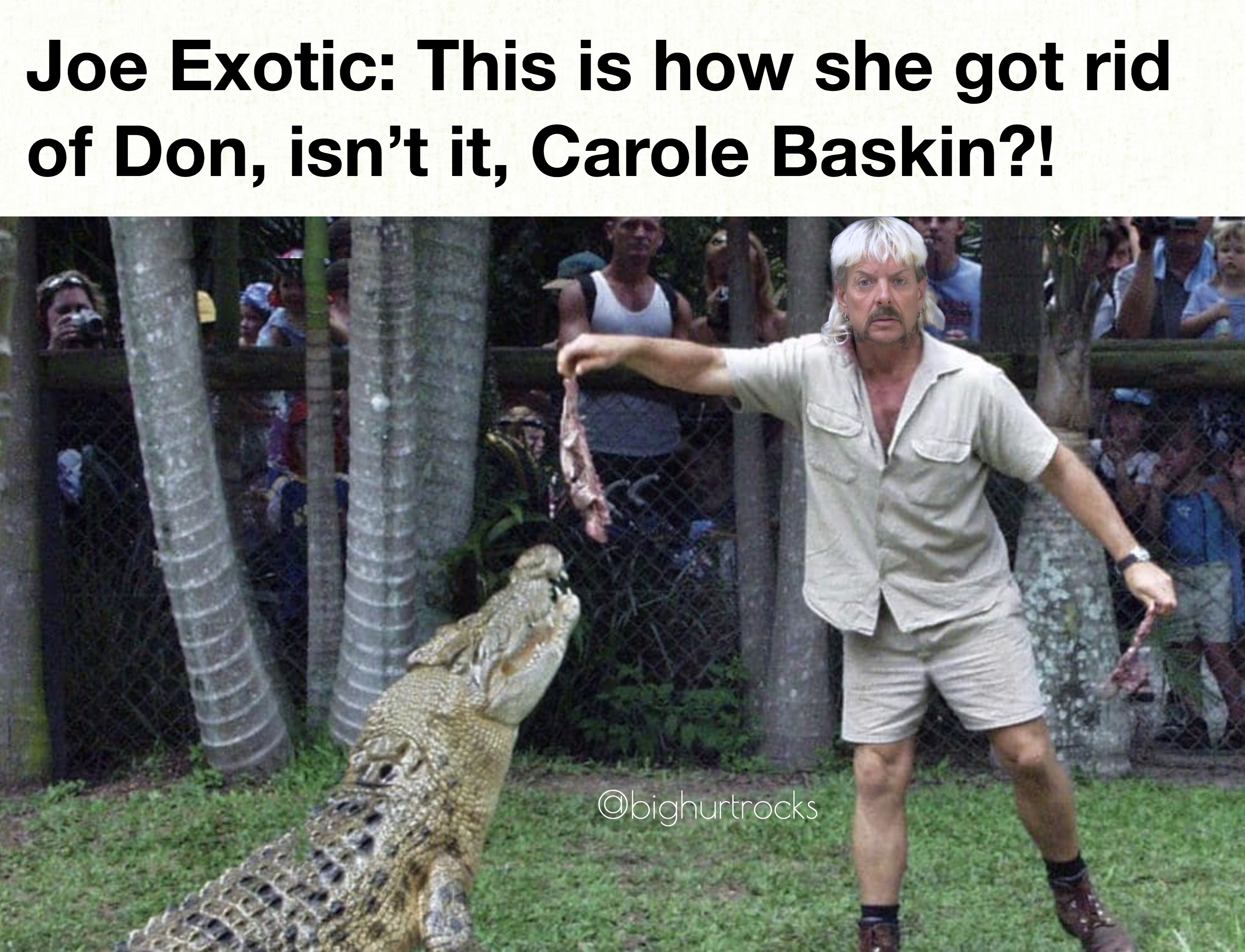 steve irwin crocodile feeding - Joe Exotic This is how she got rid of Don, isn't it, Carole Baskin?! Olighurtrocks