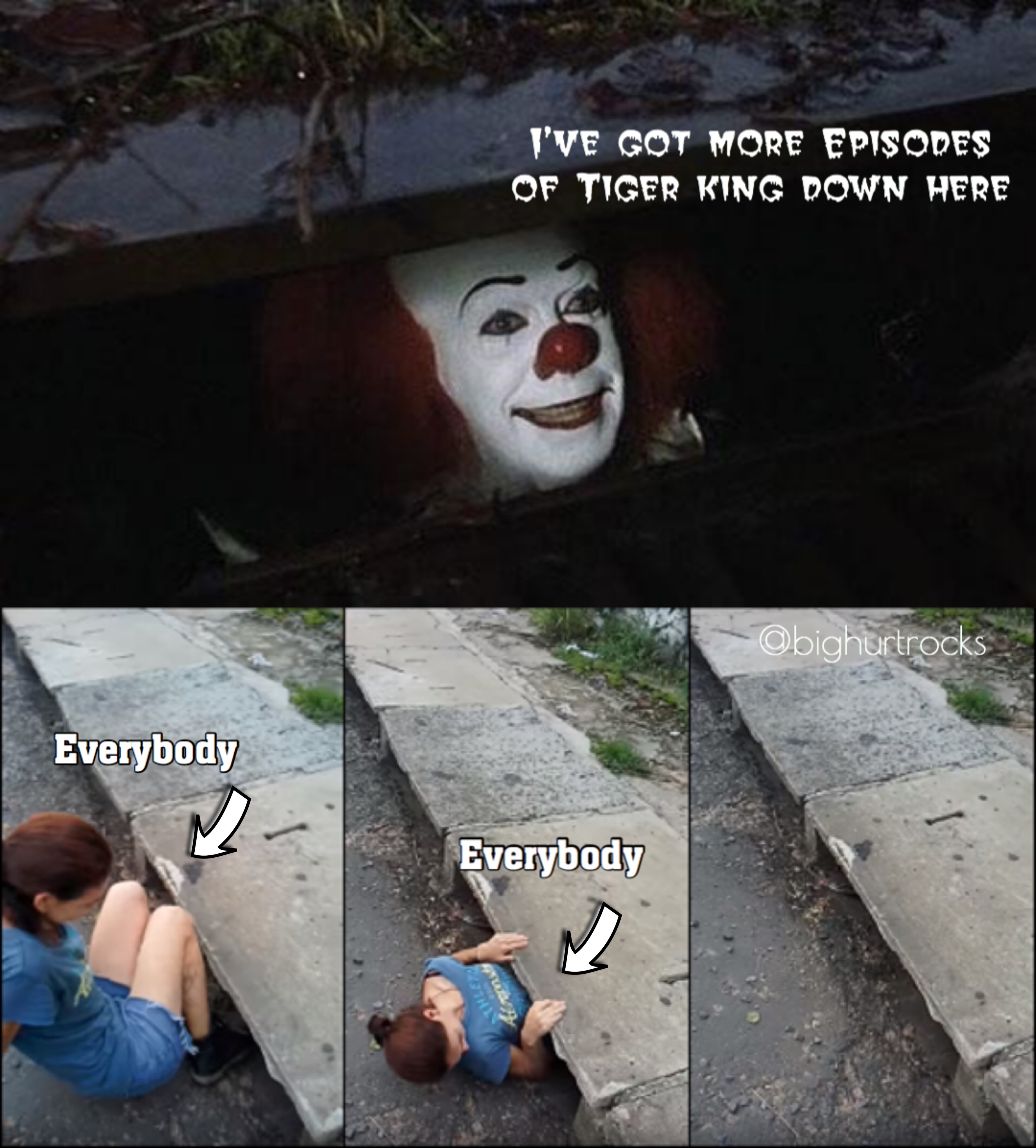 tros memes - I'Ve Got More Episodes Of Tiger King Down Here Everybody Everybody