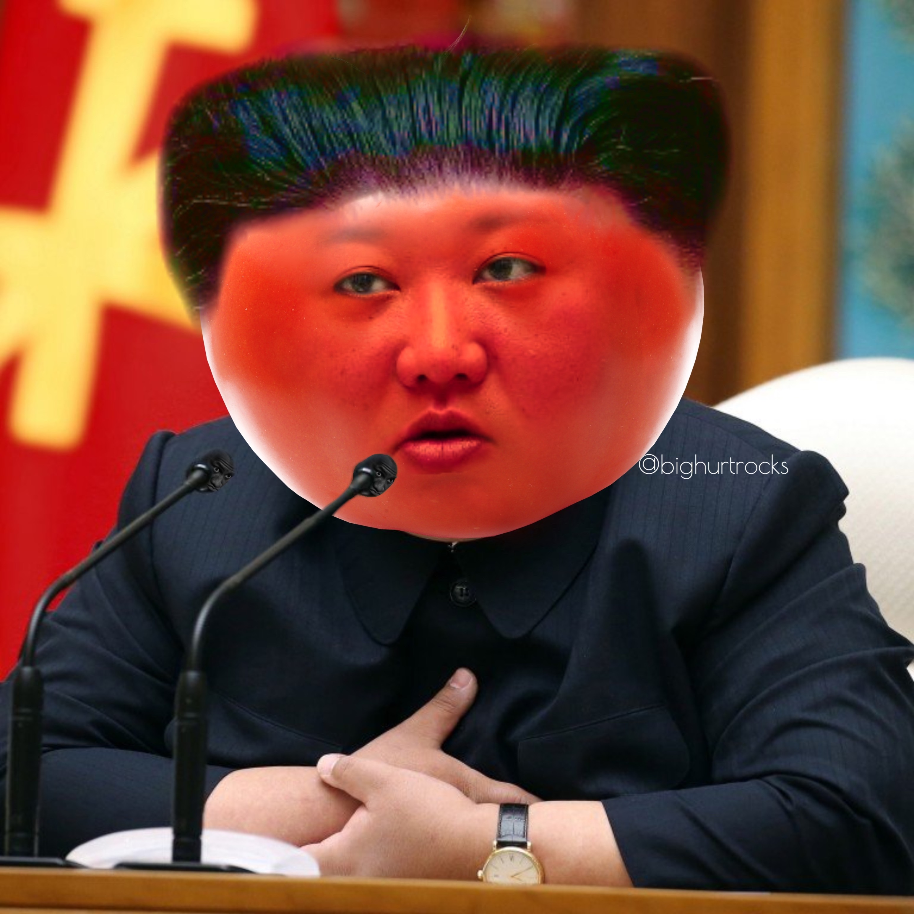 Kim Jong Un is dead/alive memes - Gallery