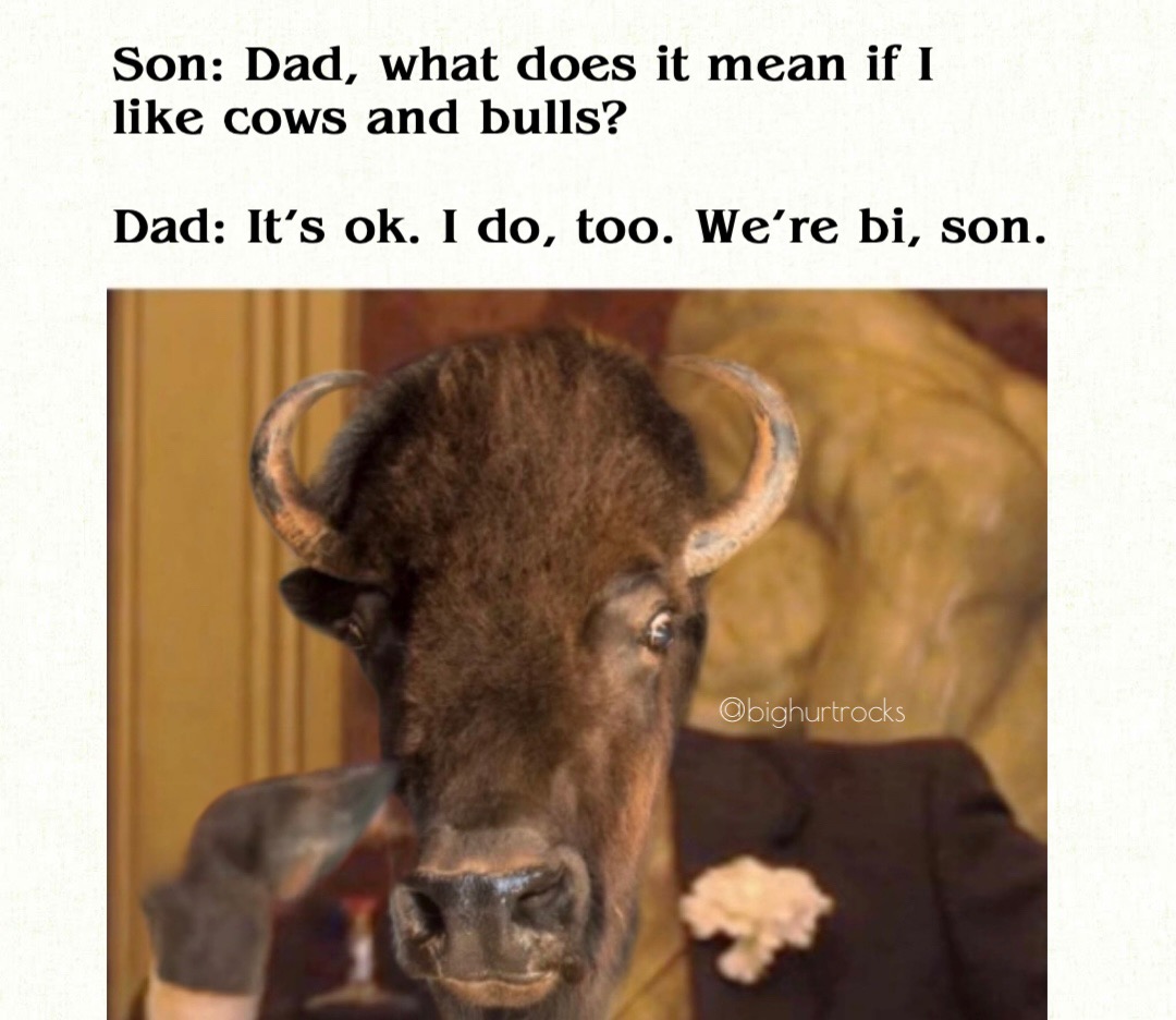 bighurtrocks- Internet meme - Son Dad, what does it mean if I cows and bulls? Dad It's ok. I do, too. Were bi, son. bighurtrocks