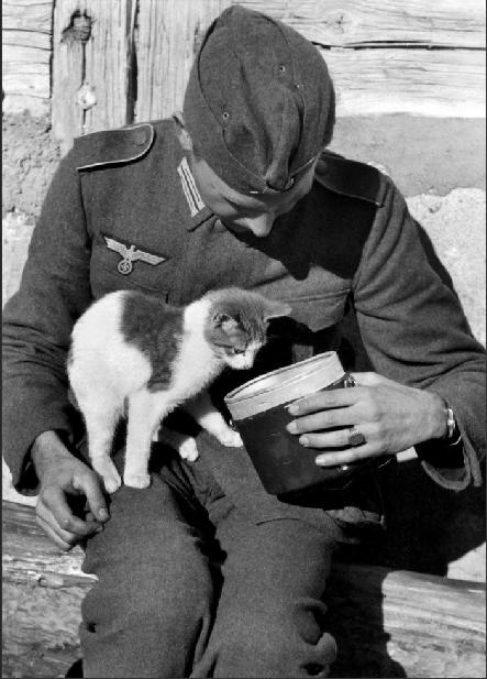 Cat loving Nazis