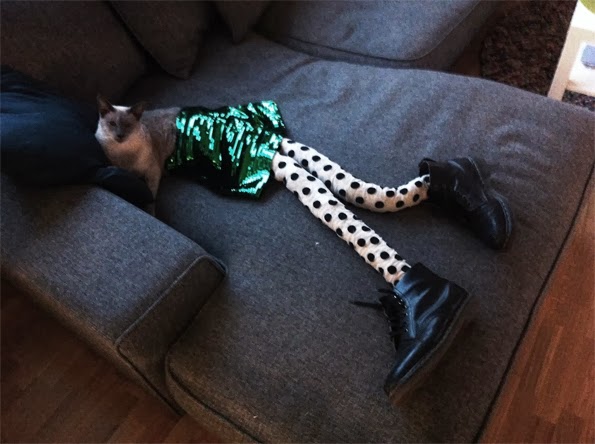 cat with tights in boots
