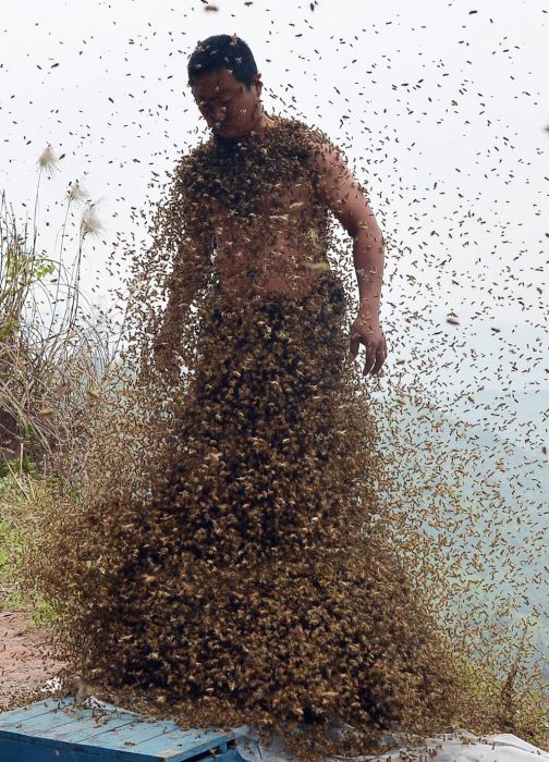 She Ping shakes off some of the 460,000 bees he was wearing, on April 9, 2014.