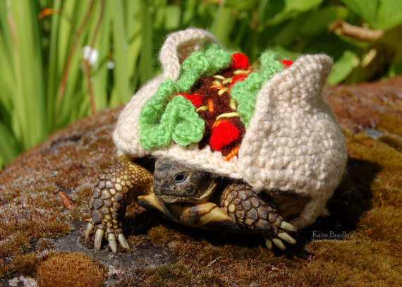 Fabulous Turtles