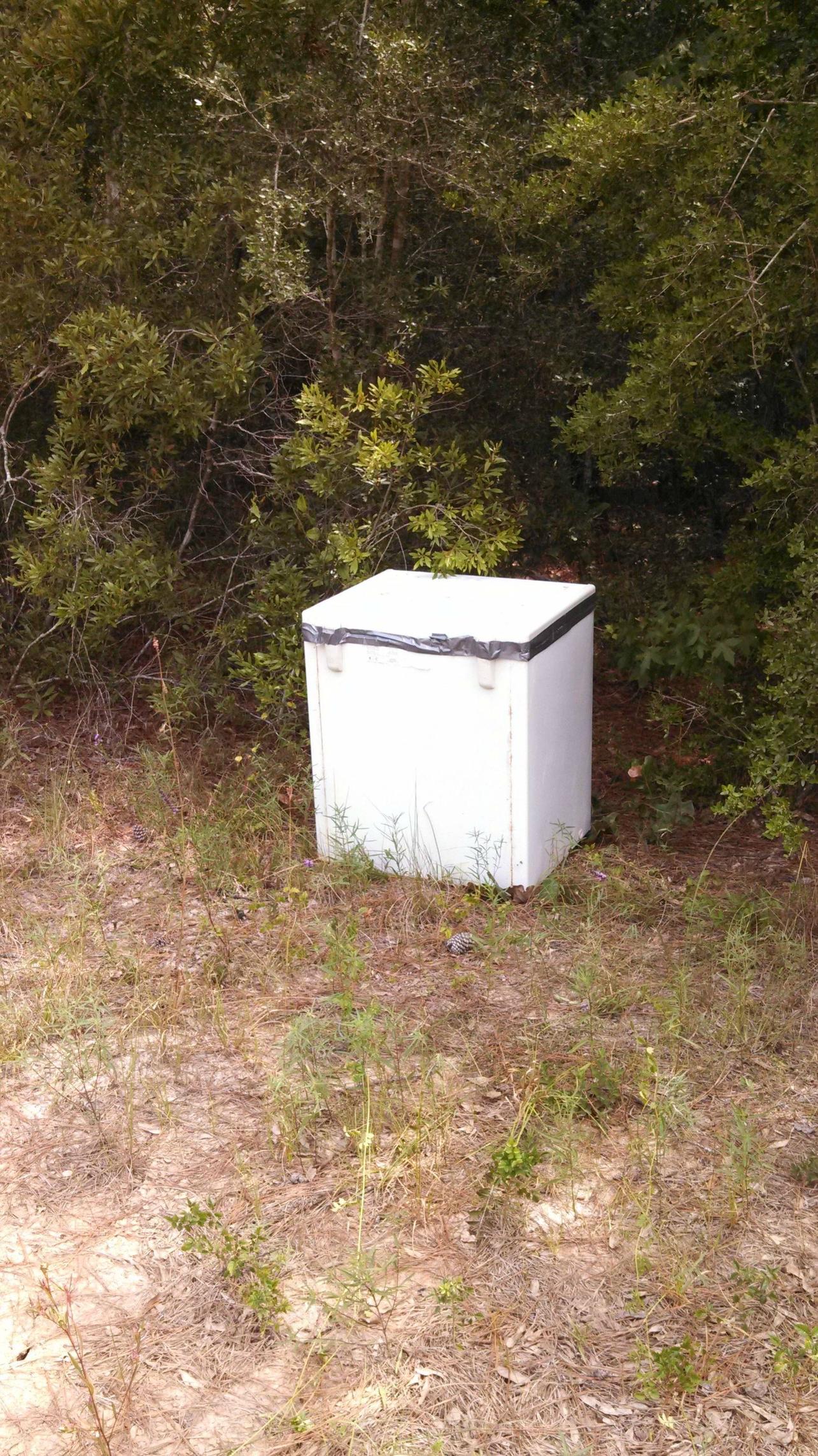 What would you do if you found a freezer taped up in the woods?
