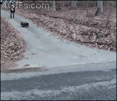 Kilgore's Nocturnal Exposition